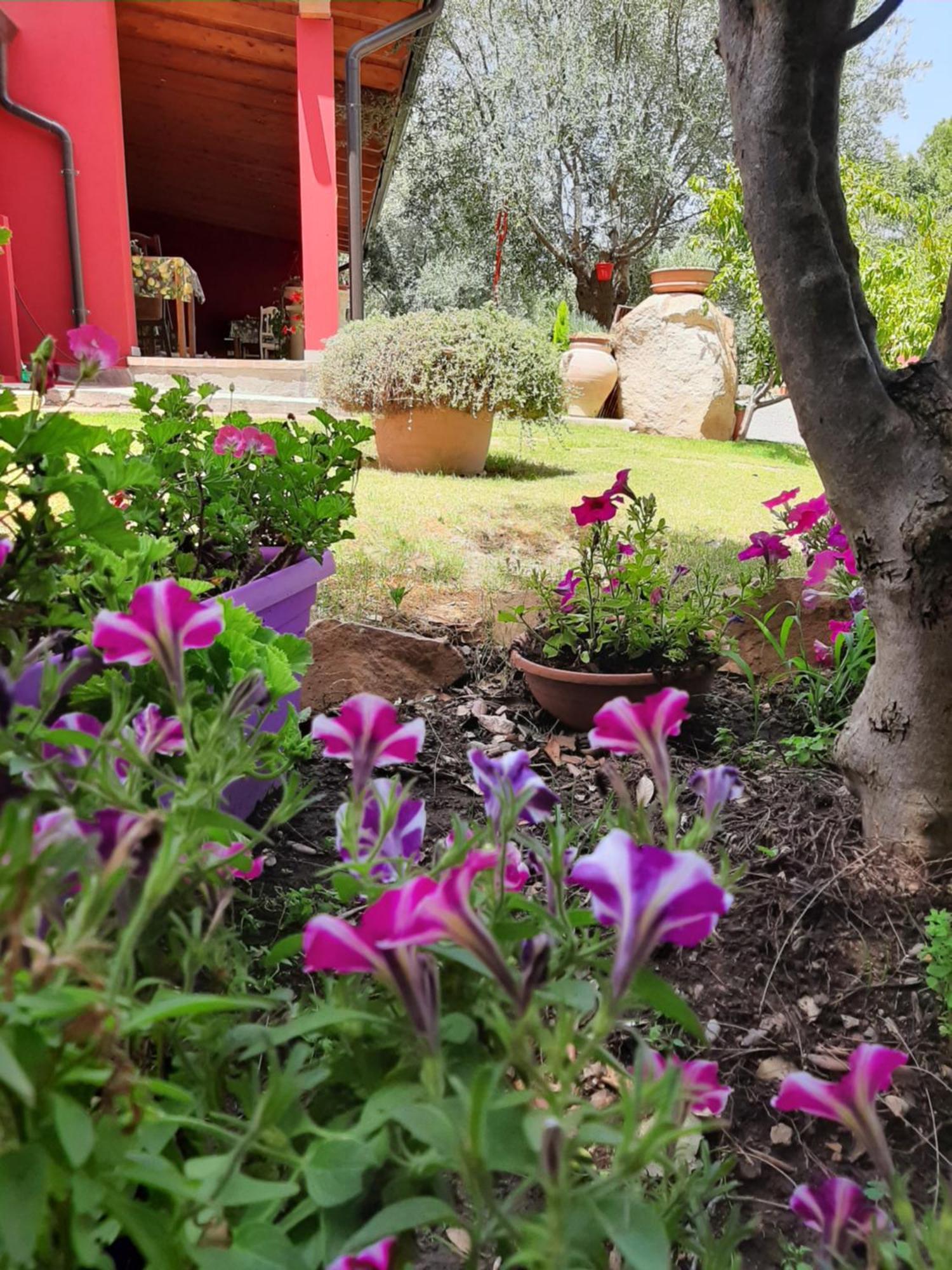 B&B Su Frascu Segau Teulada Extérieur photo