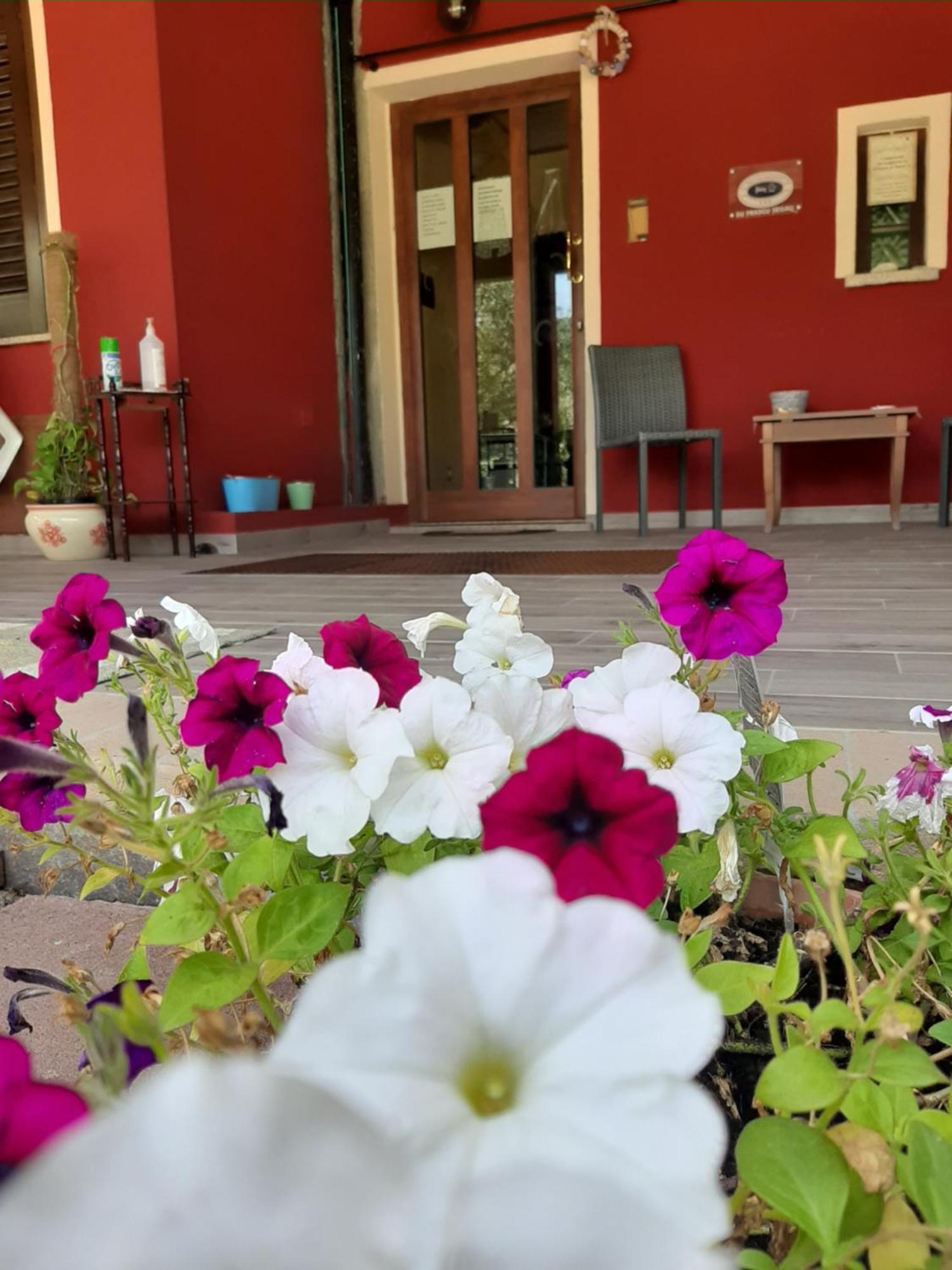 B&B Su Frascu Segau Teulada Extérieur photo