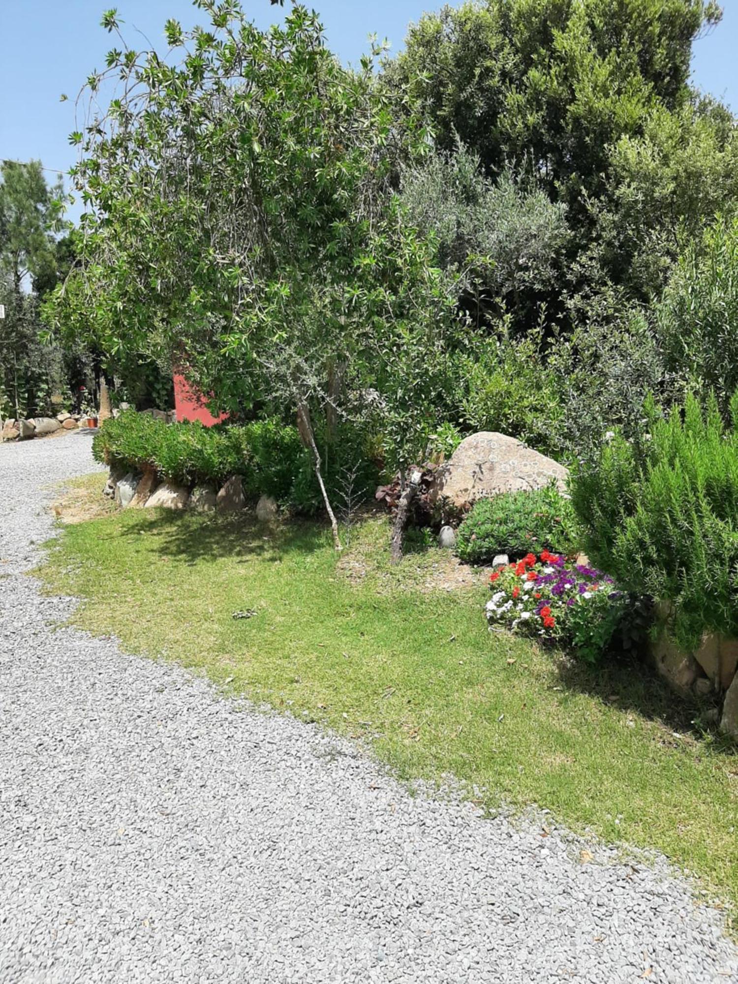 B&B Su Frascu Segau Teulada Extérieur photo